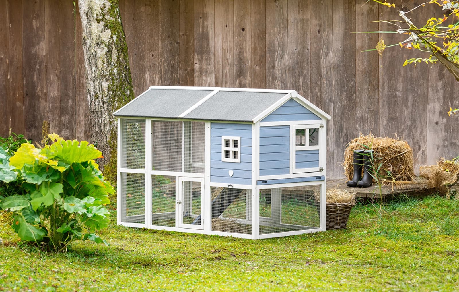 Ställe & Freigehege