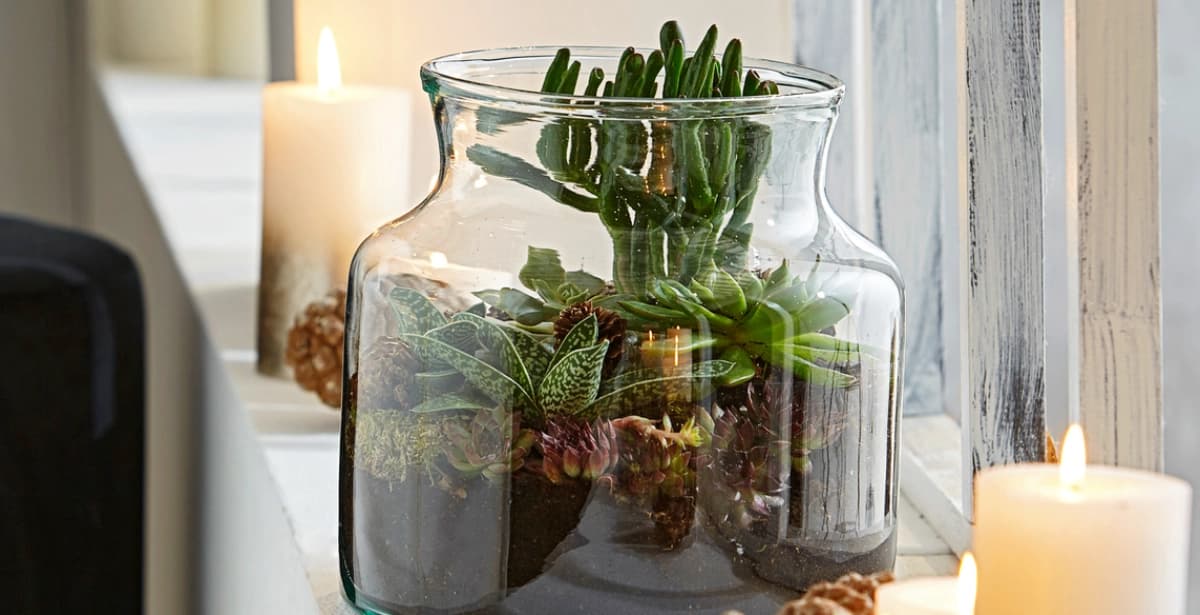 Entdecken Sie unsere Spezialdünger für üppiges Wachstum!