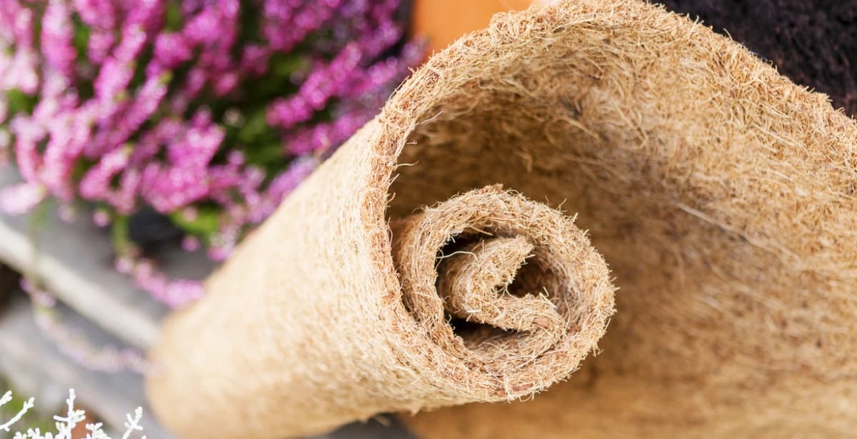 Gut behütet durch den Winter