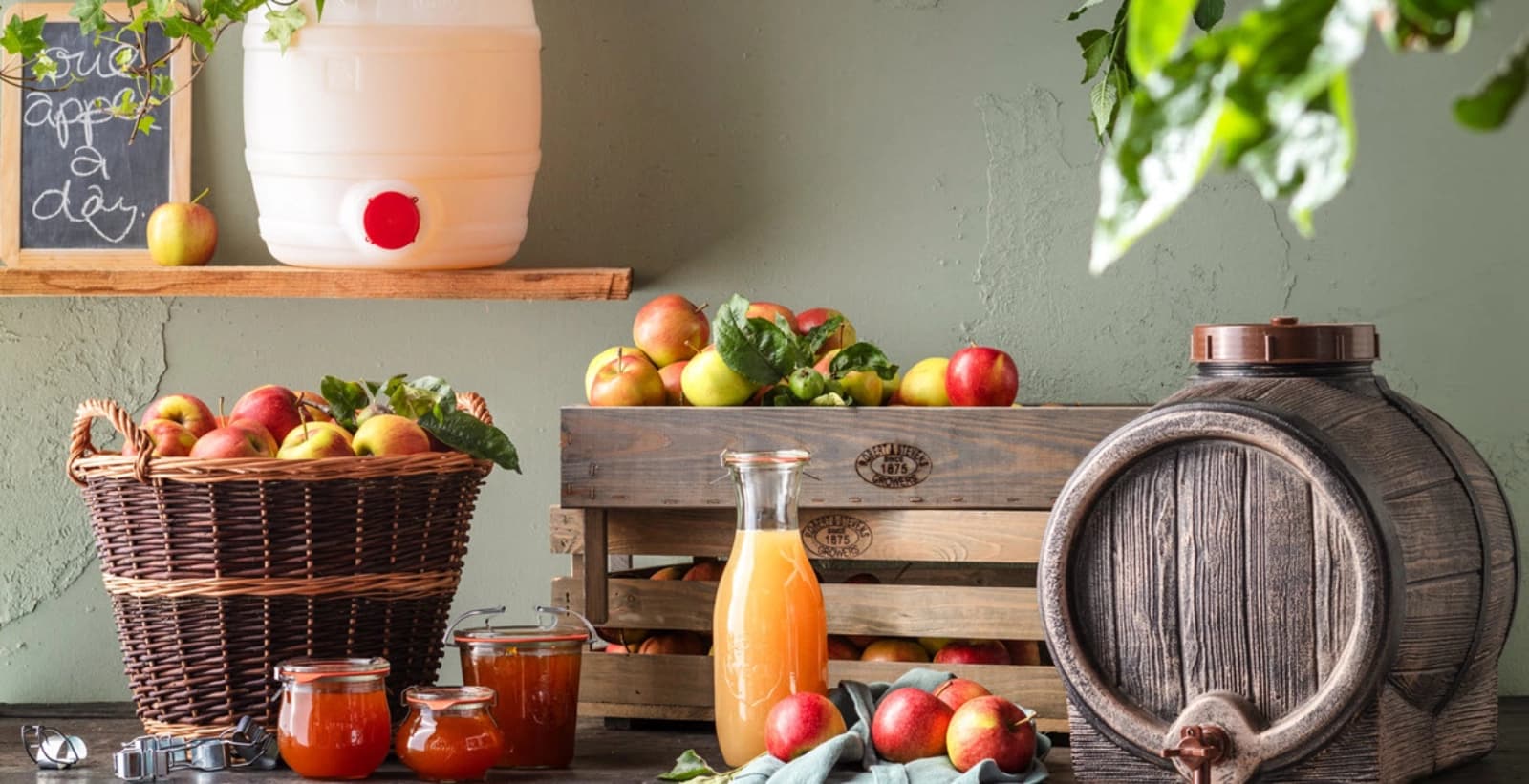 1. Erntezeit für Obst & Gemüse