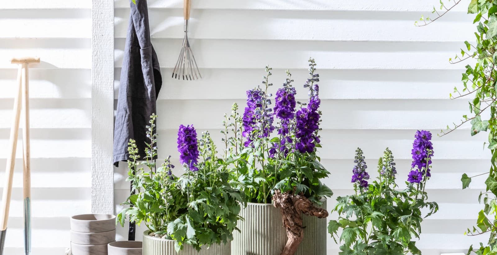 Eleganz für Ihren Garten