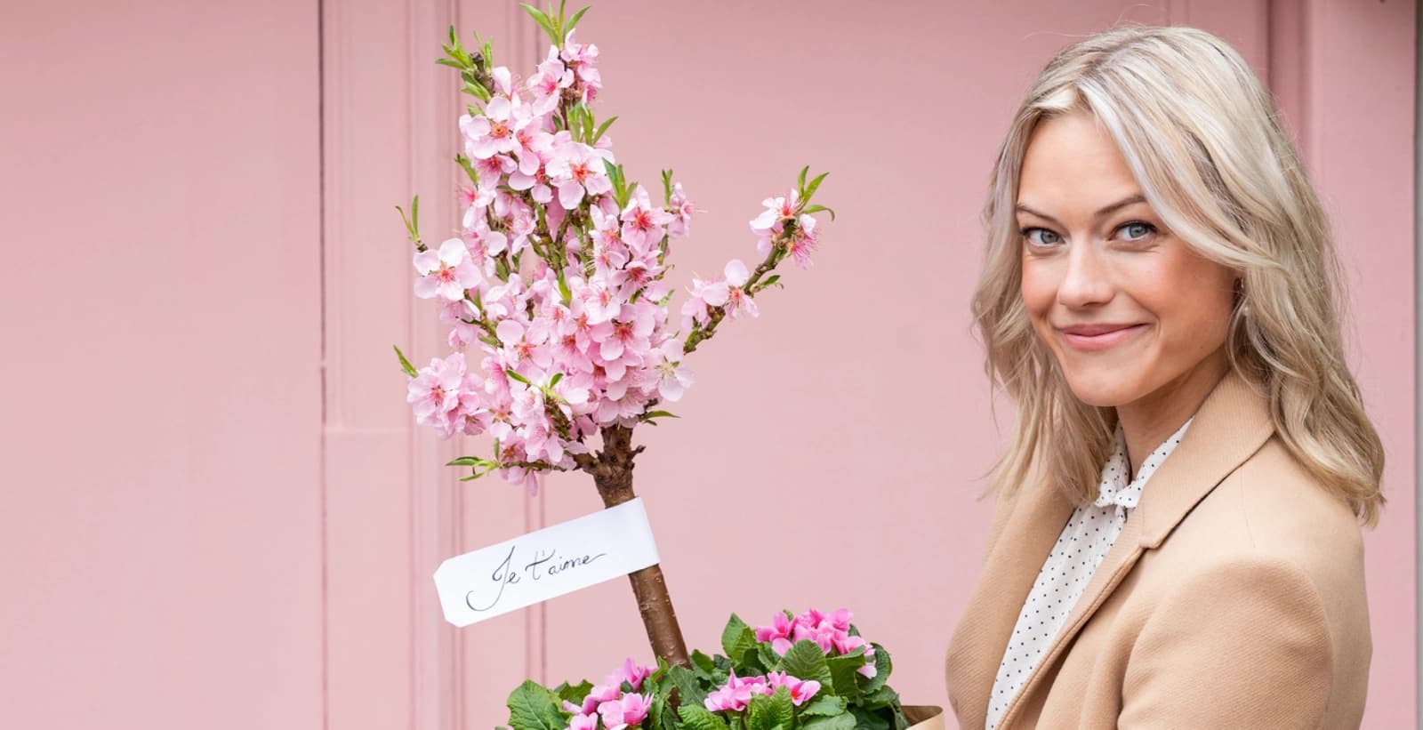 Fruchtige Vielfalt: Pfirsich, Aprikose & Nektarine