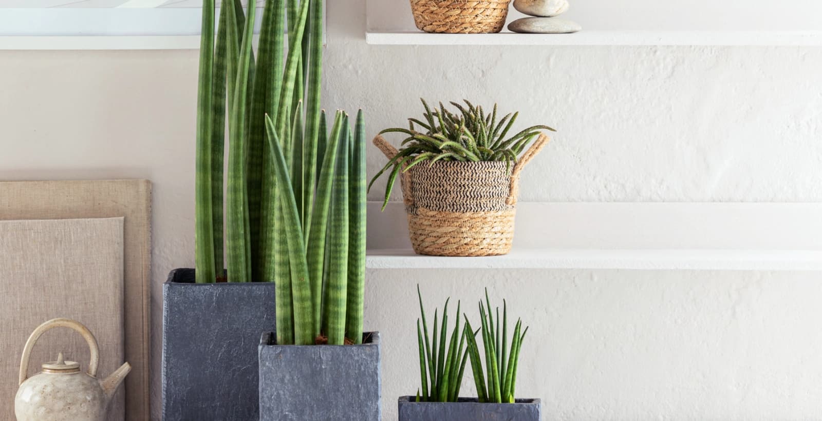 Der richtige Standort