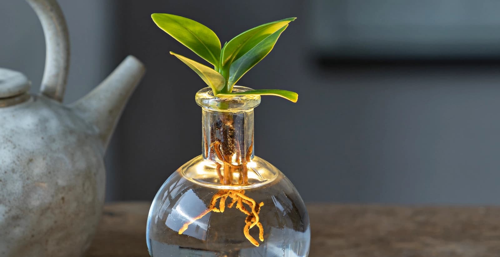 Das richtige Gefäß