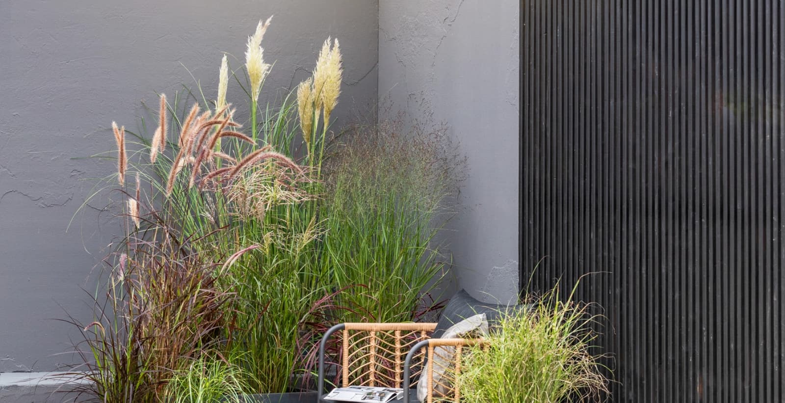 Der ideale Standort für sonnenliebende Gräser