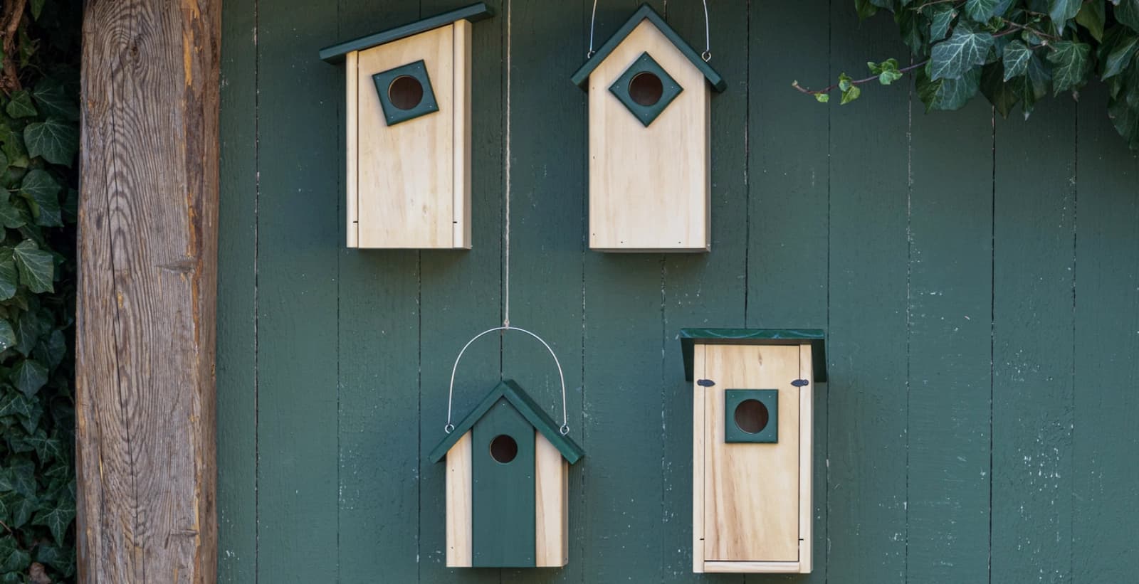 Schützende Unterkunft für Vögel