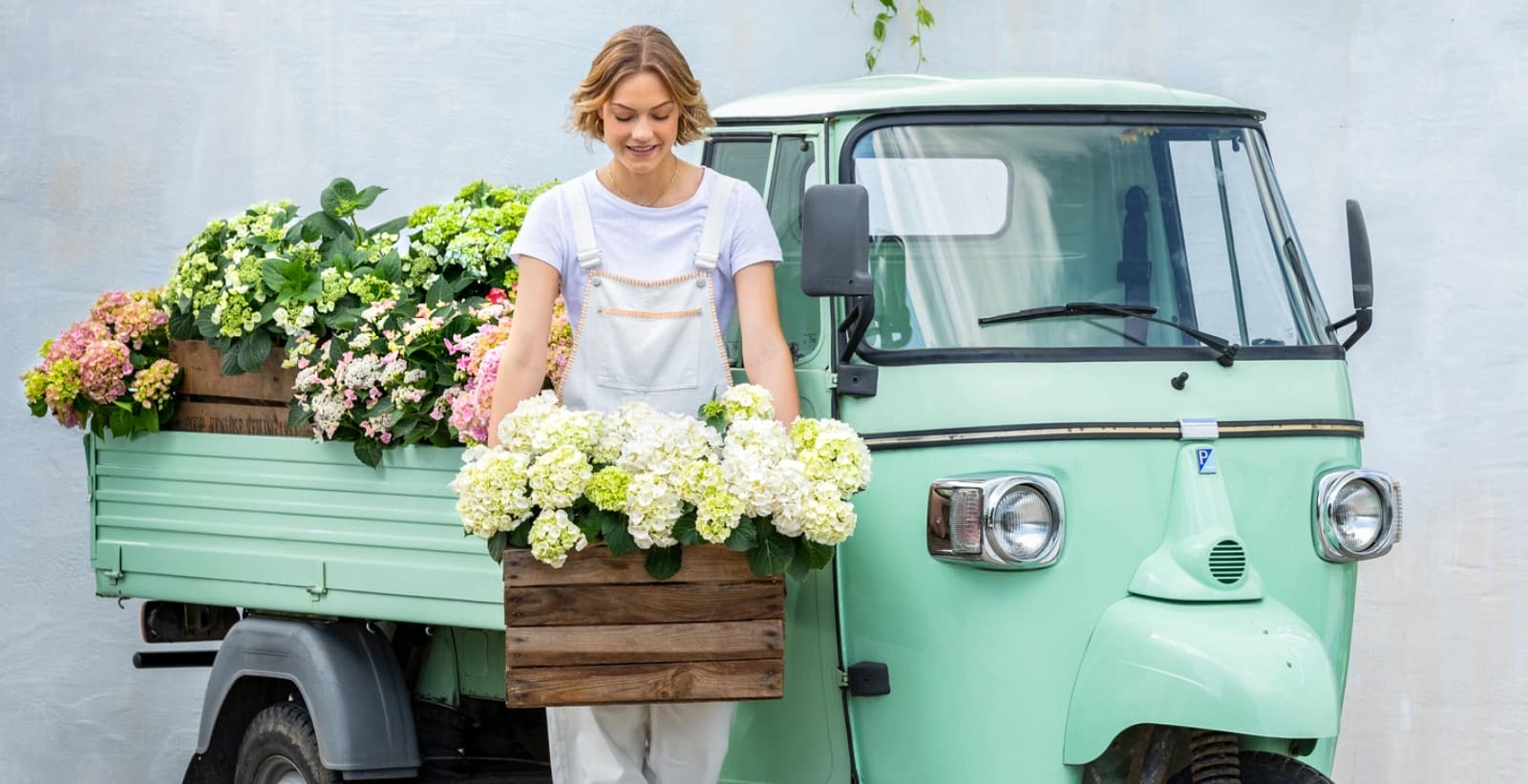 Bezaubernde Hortensien