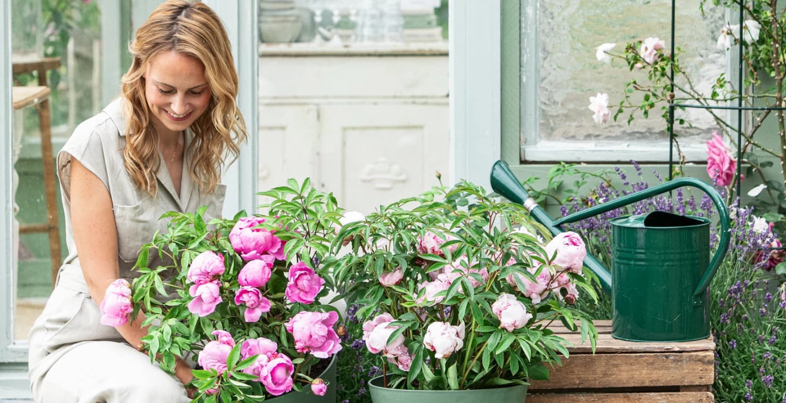 In guter Gesellschaft fühlt sich die Päonie besonders wohl