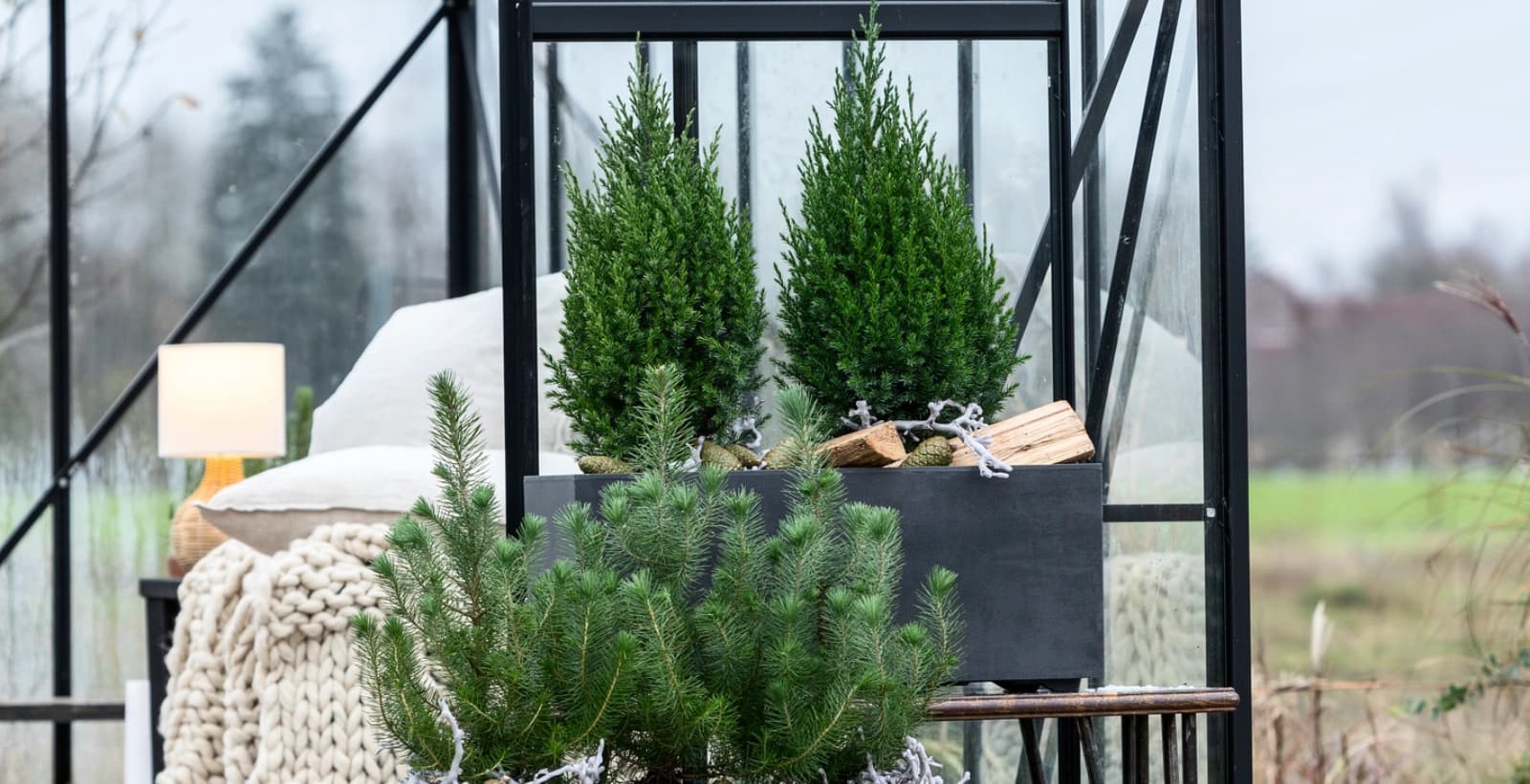 Pflege während der Winterruhe