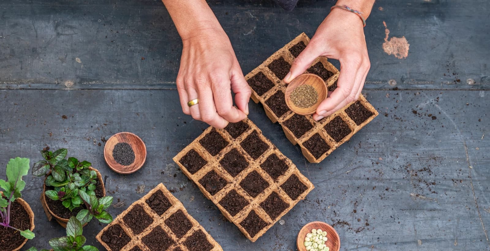 Anbau – jetzt für später sorgen