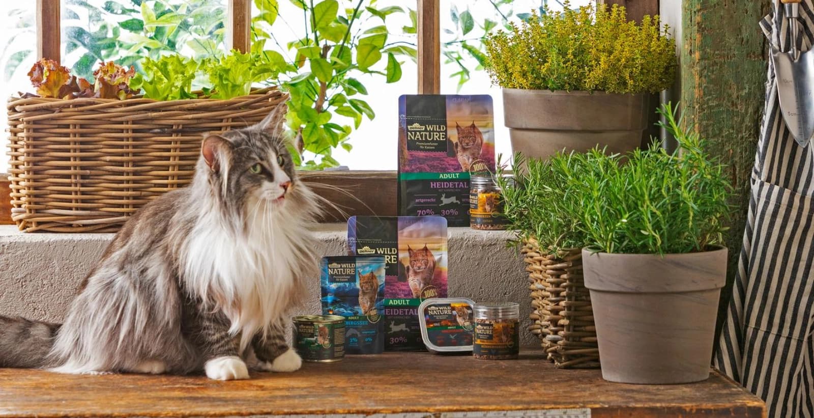 Worauf kommt es beim Katzenfutter an?