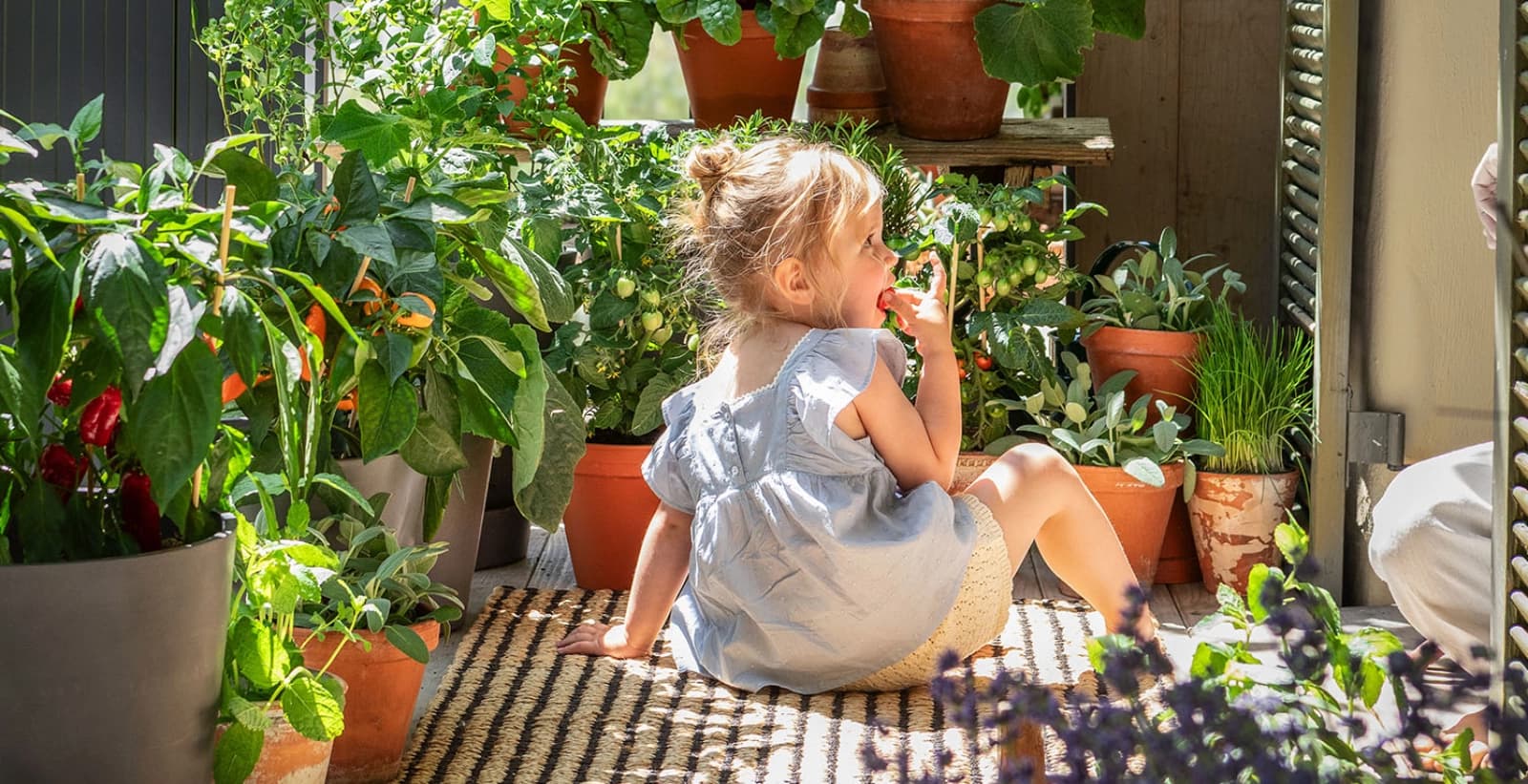 Lernen Sie weitere nachhaltige Lieferanten kennen
