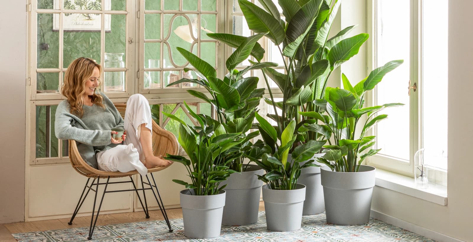 Mini-Entscheidungshilfe: