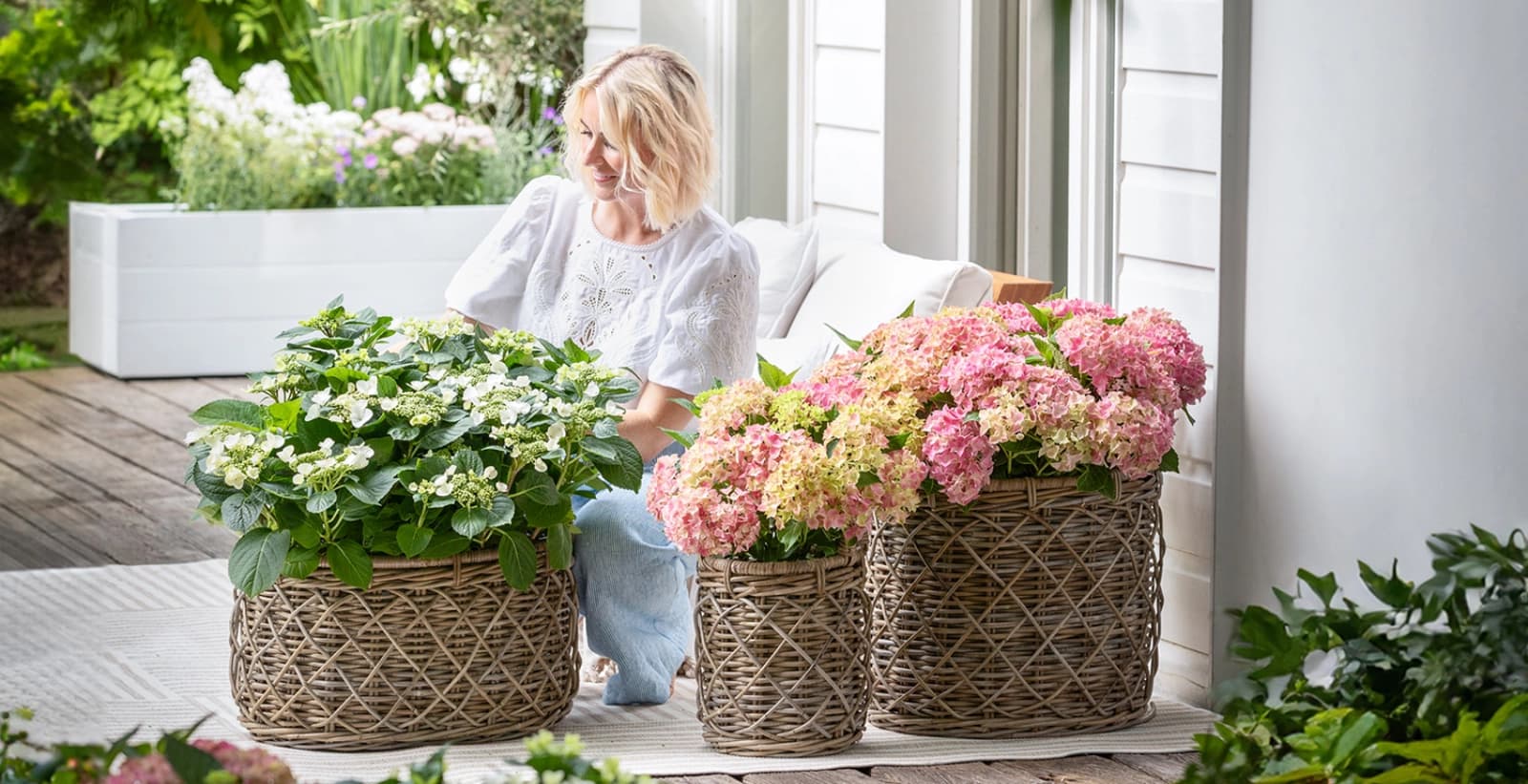 Kostenloser Einpflanzservice