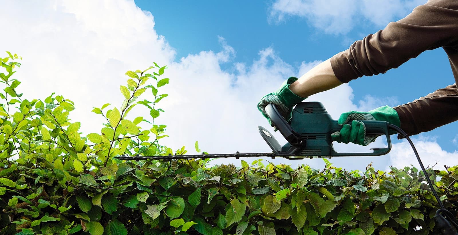 Die richtigen Gartenscheren für präzise Schnitte