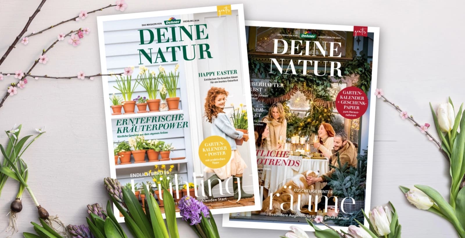 Unsere aktuellen Magazine, Prospekte & Kataloge