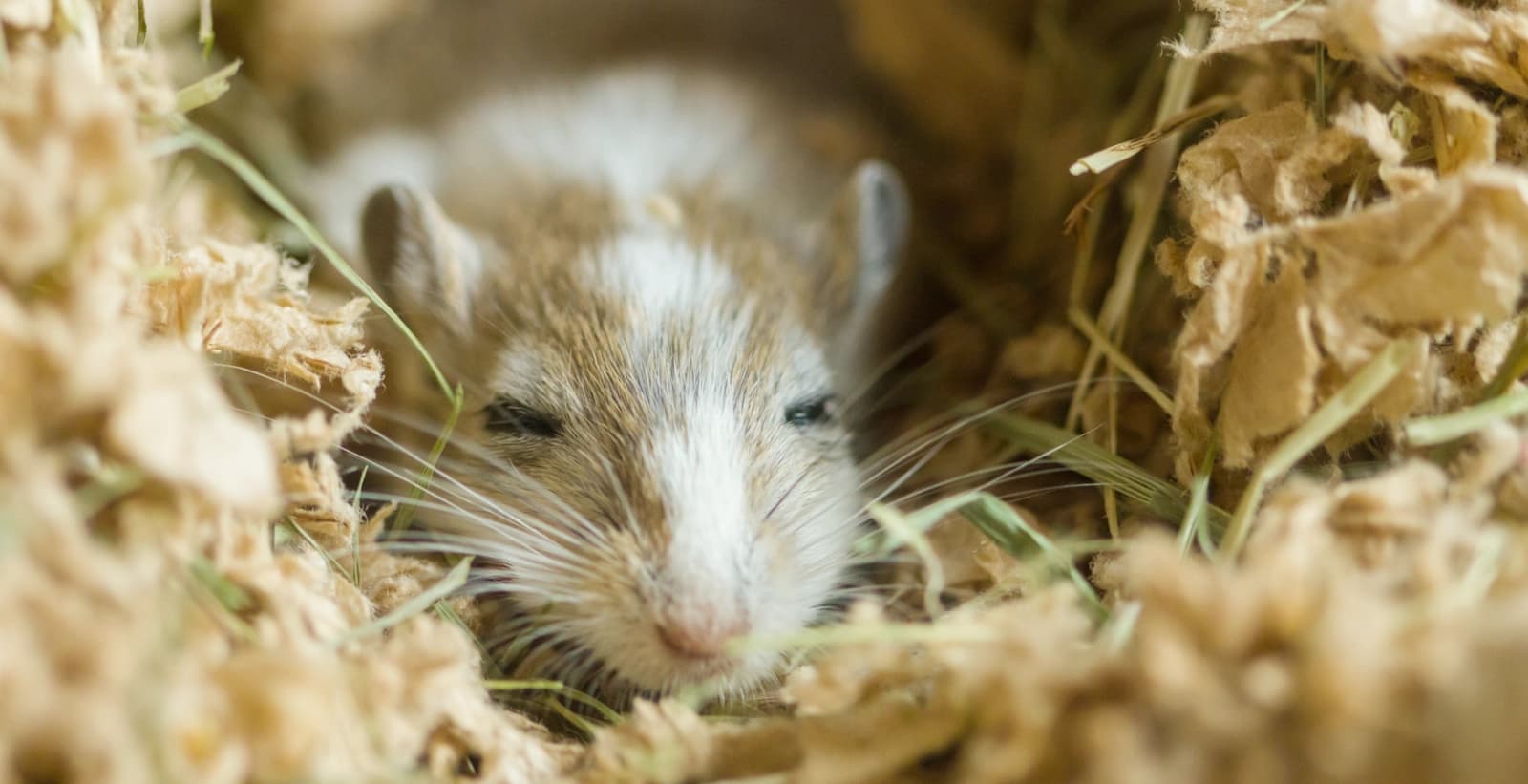 Finden Sie das ideale Zuhause