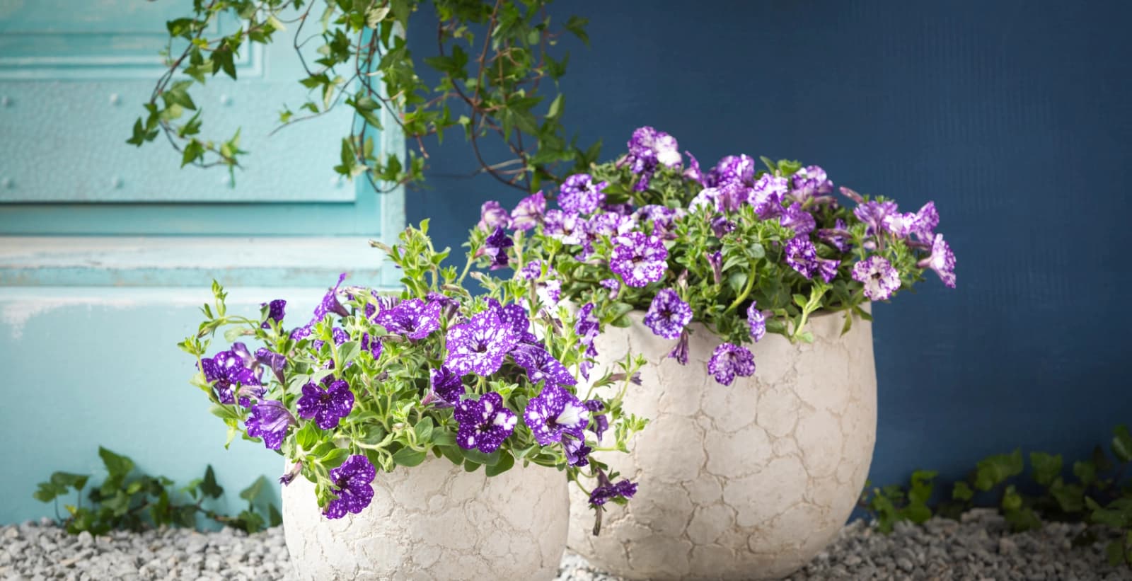 Schicke Pflanzgefäße