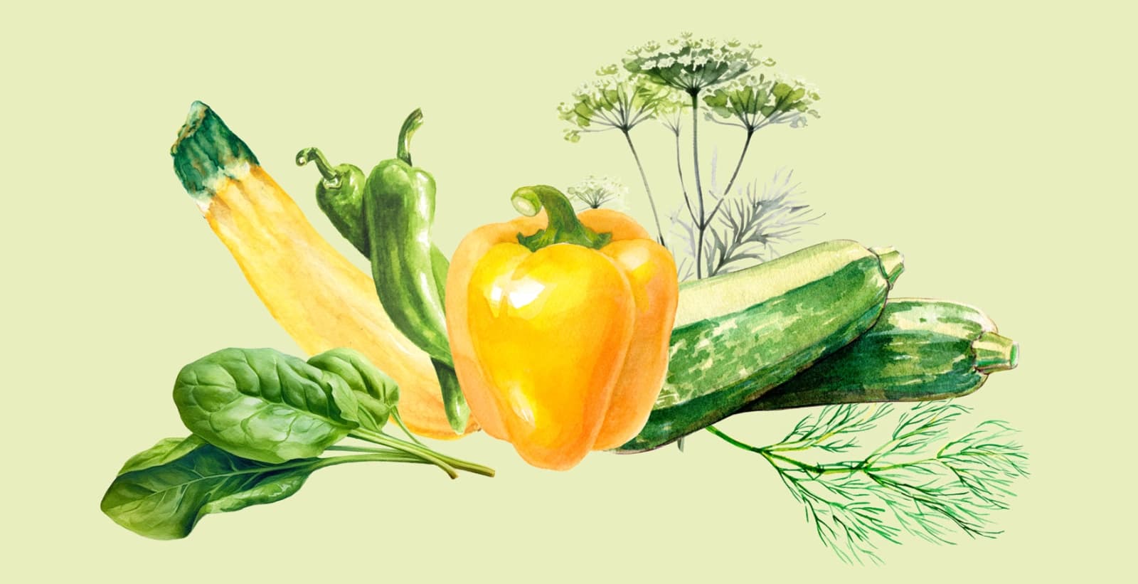 Dehner Aussaatkalender