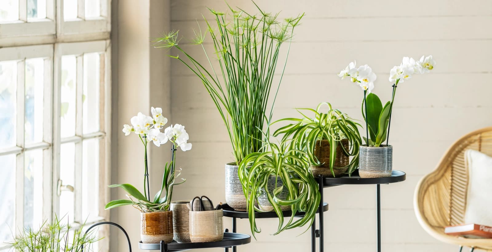 Grüne Arbeitsatmosphäre