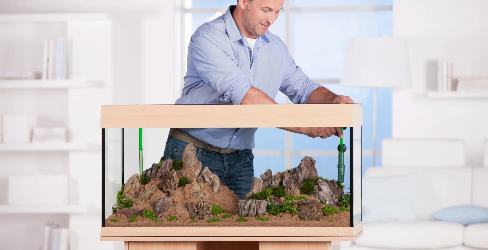 Moderne Aquarientechnik für optimale Bedingungen