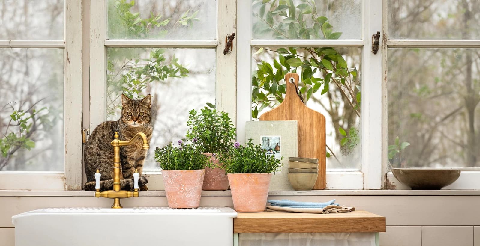 Weitere Tipps & Trends