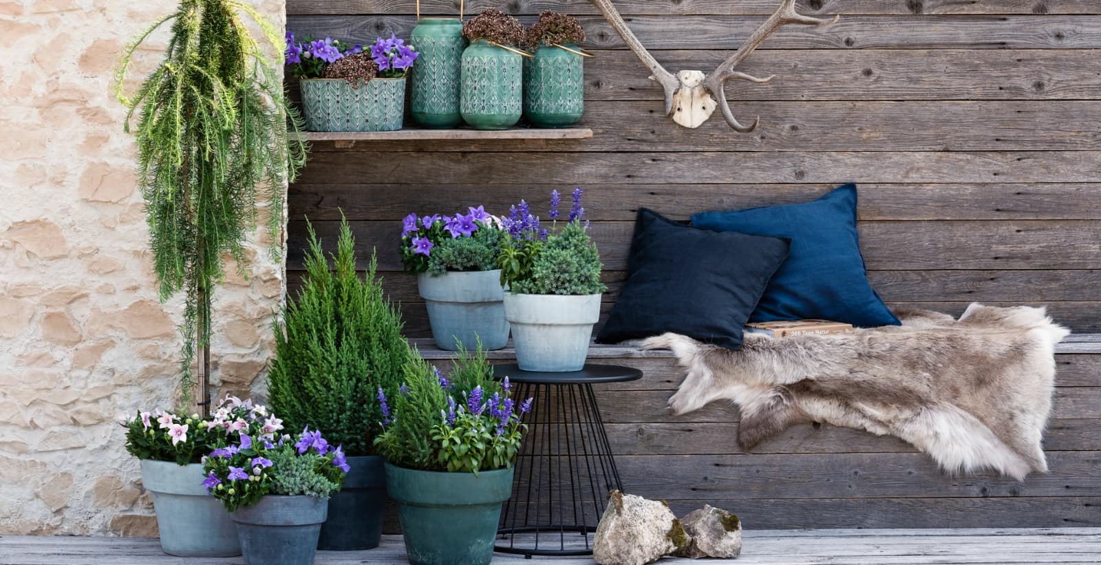 Perfekte Kombis für Koniferen