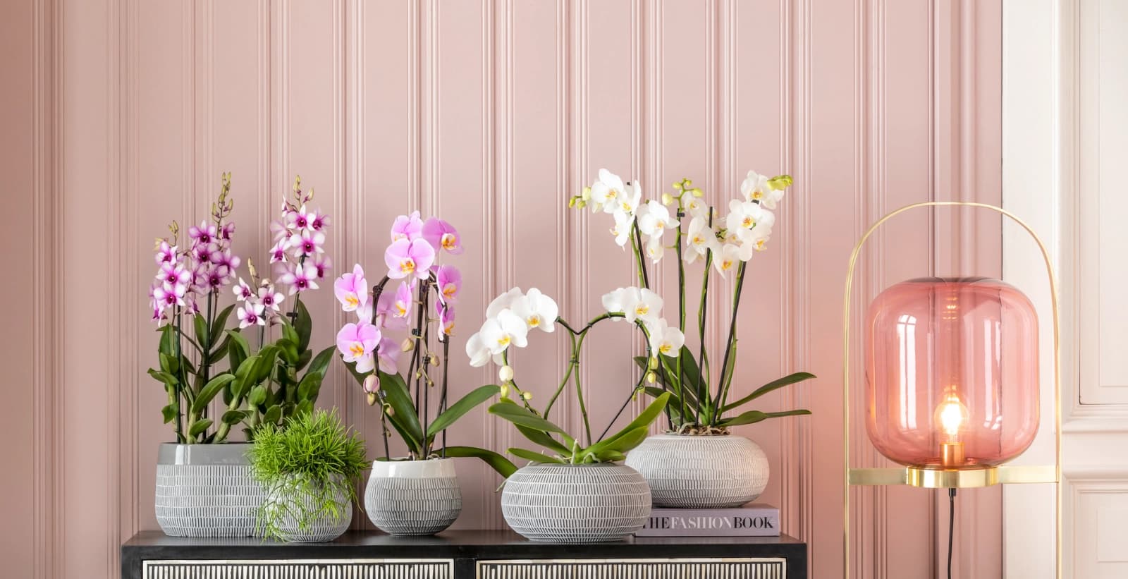 Gründe fürs Umtopfen