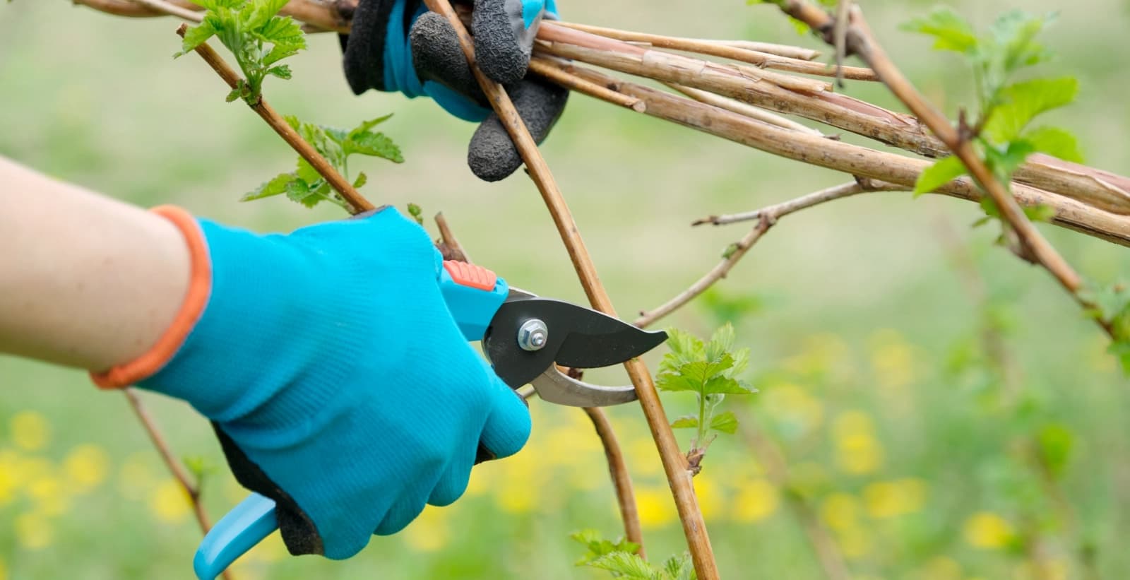 Pflegemaßnahmen klein geschrieben