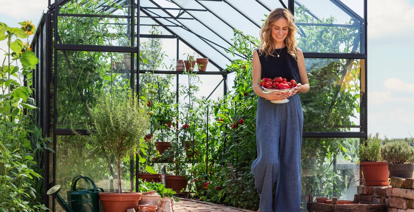 Wohlfühlort für Tomaten