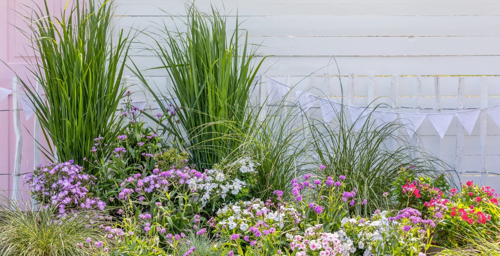 Ziergräser kombinieren