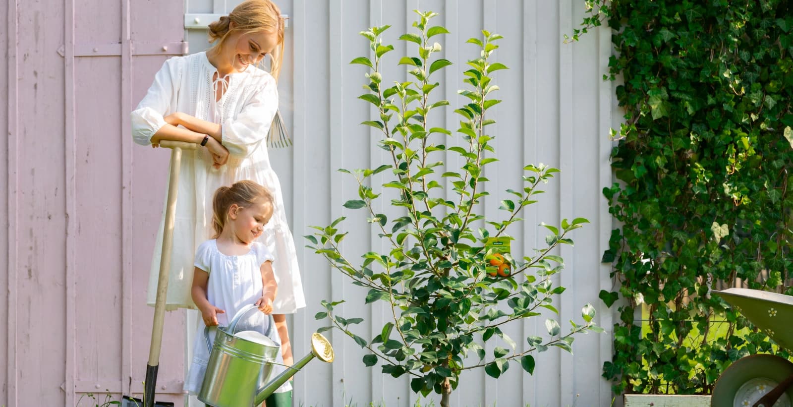 Pflanzung der tollen Schattenspender