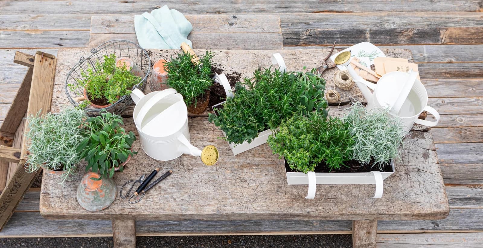 Weitere Tipps & Trends