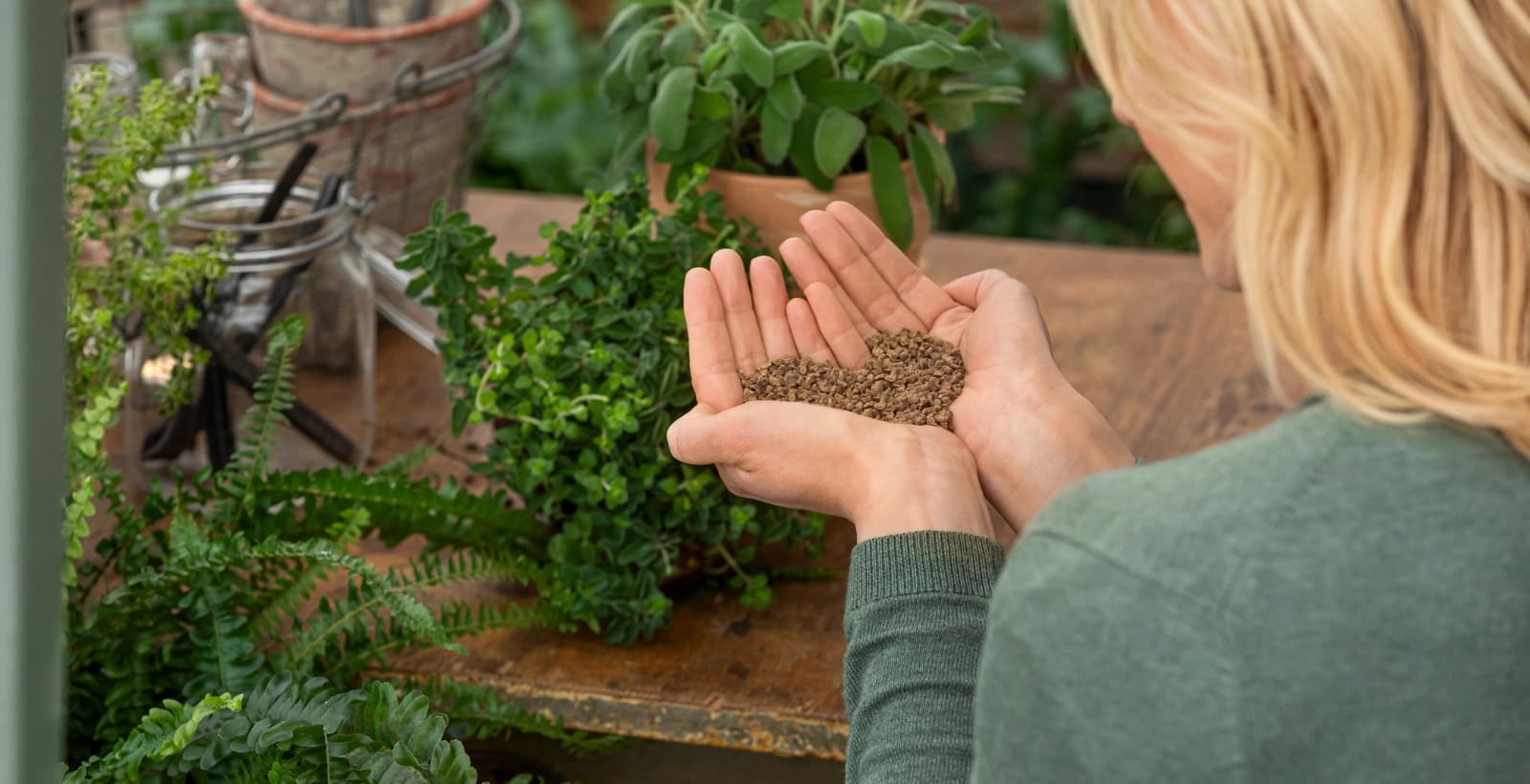 Düngung: In guter Nährstoffversorgung