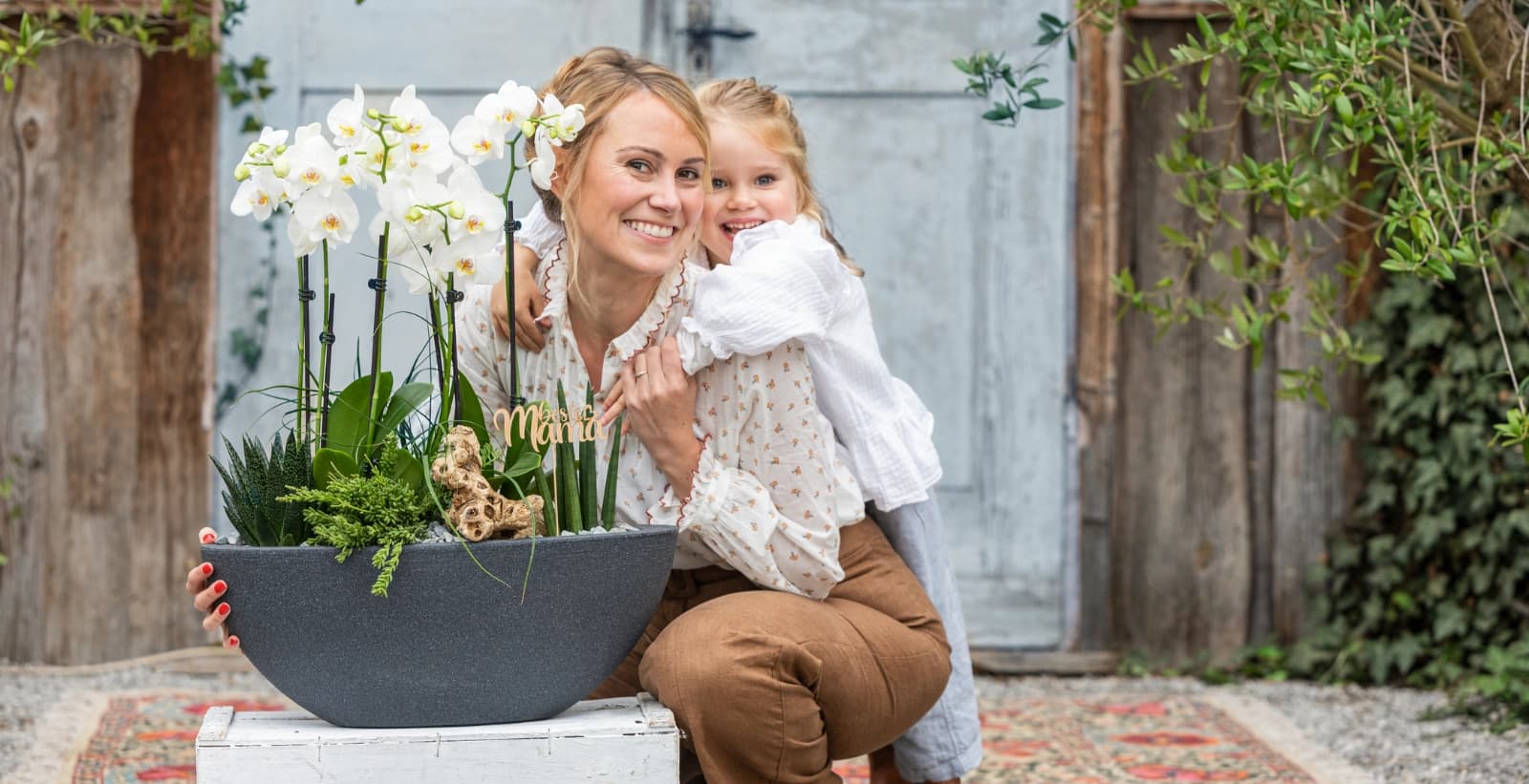 Schmetterlingsorchideen