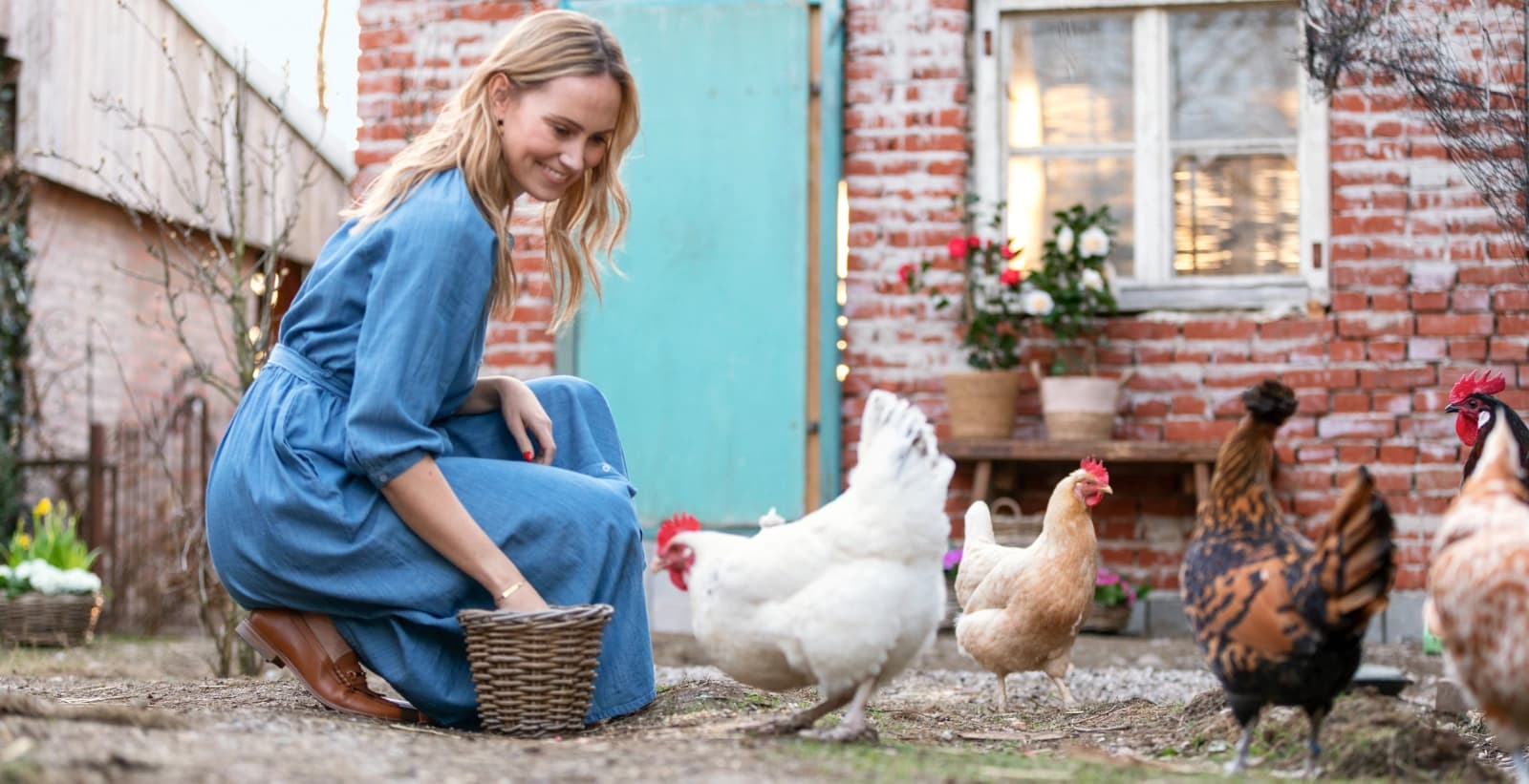 Ratgeber Tiere im Garten