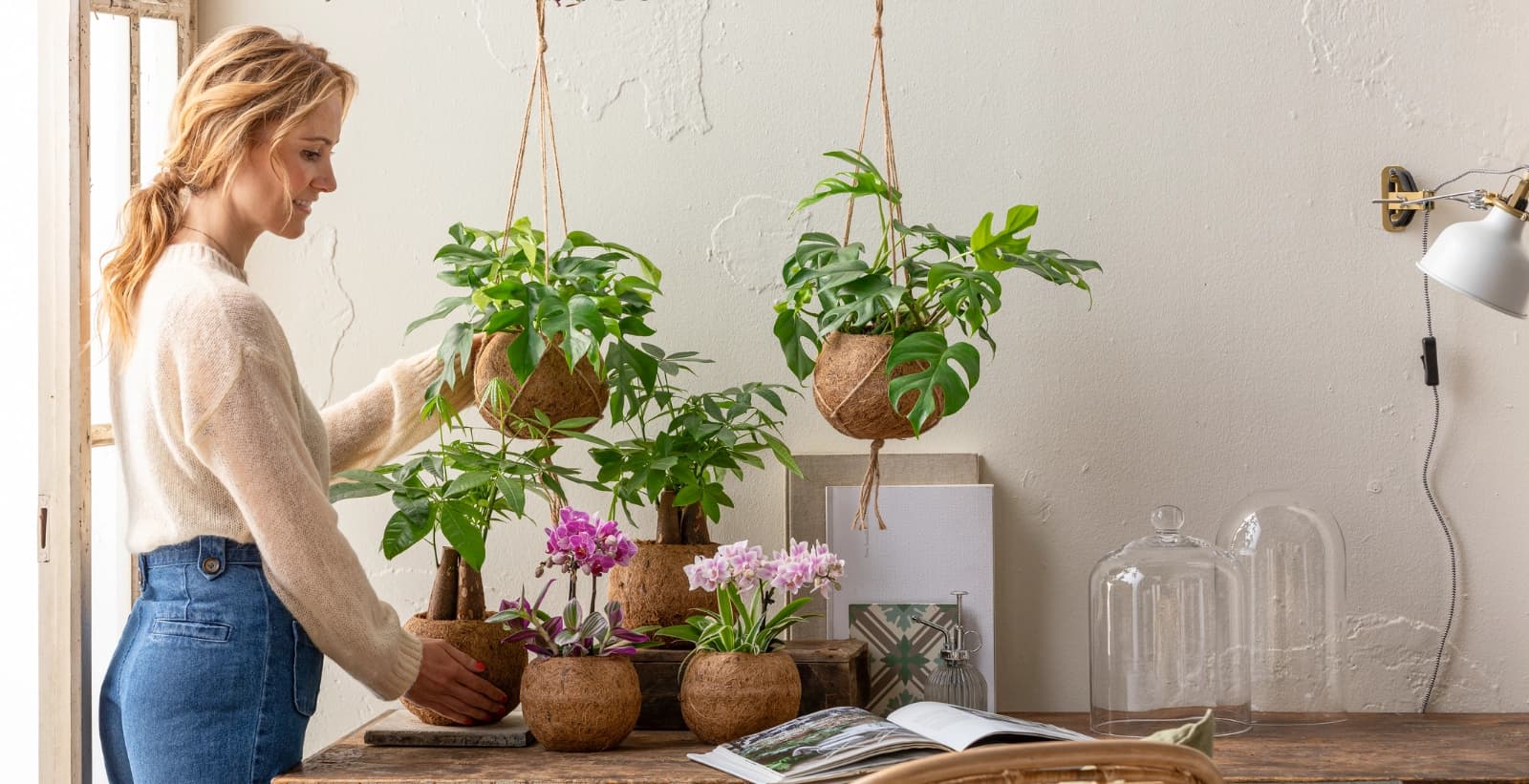 Rettungstipps für Zimmerpflanzen