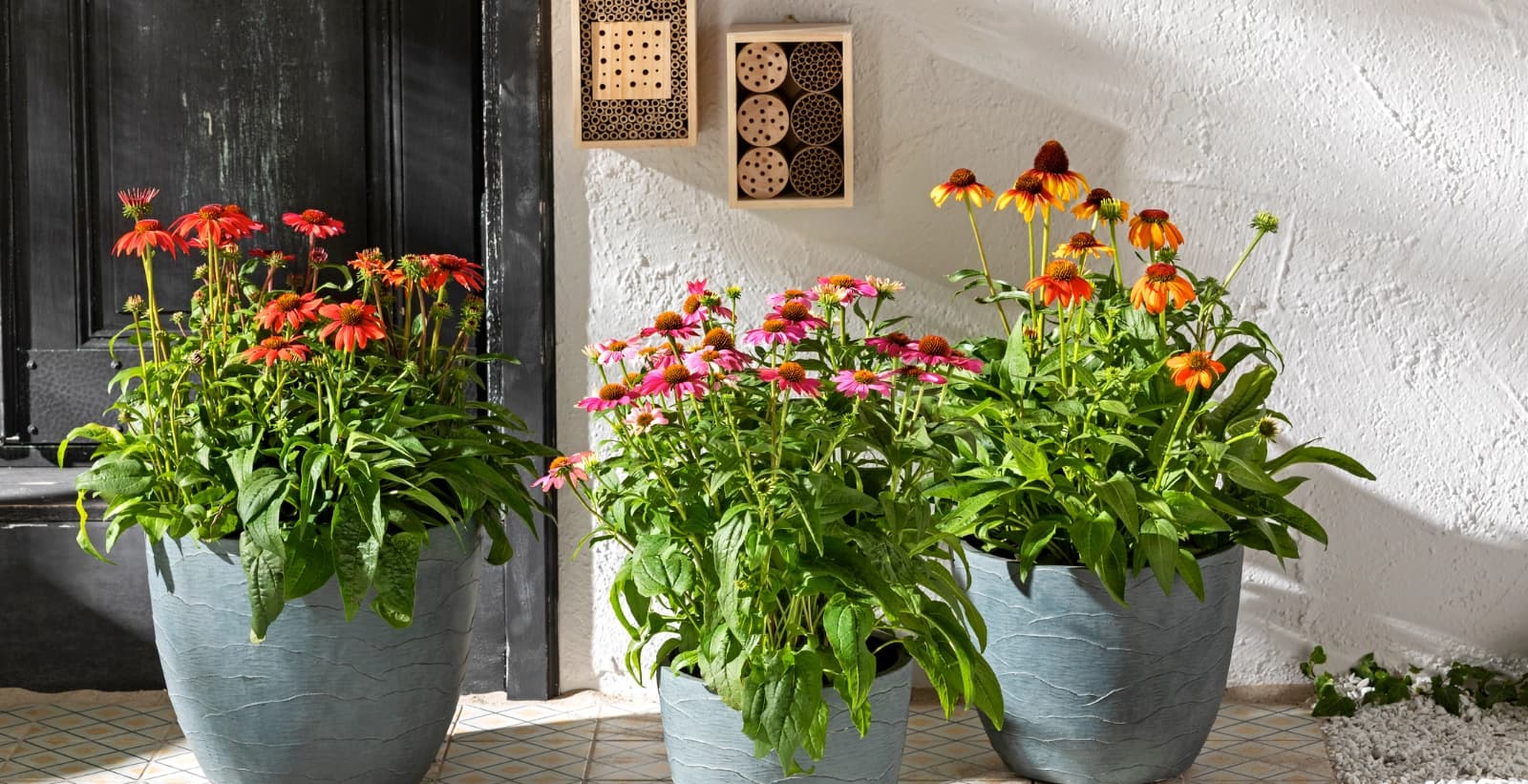 Ihr Vorgarten – Ihre Persönlichkeit