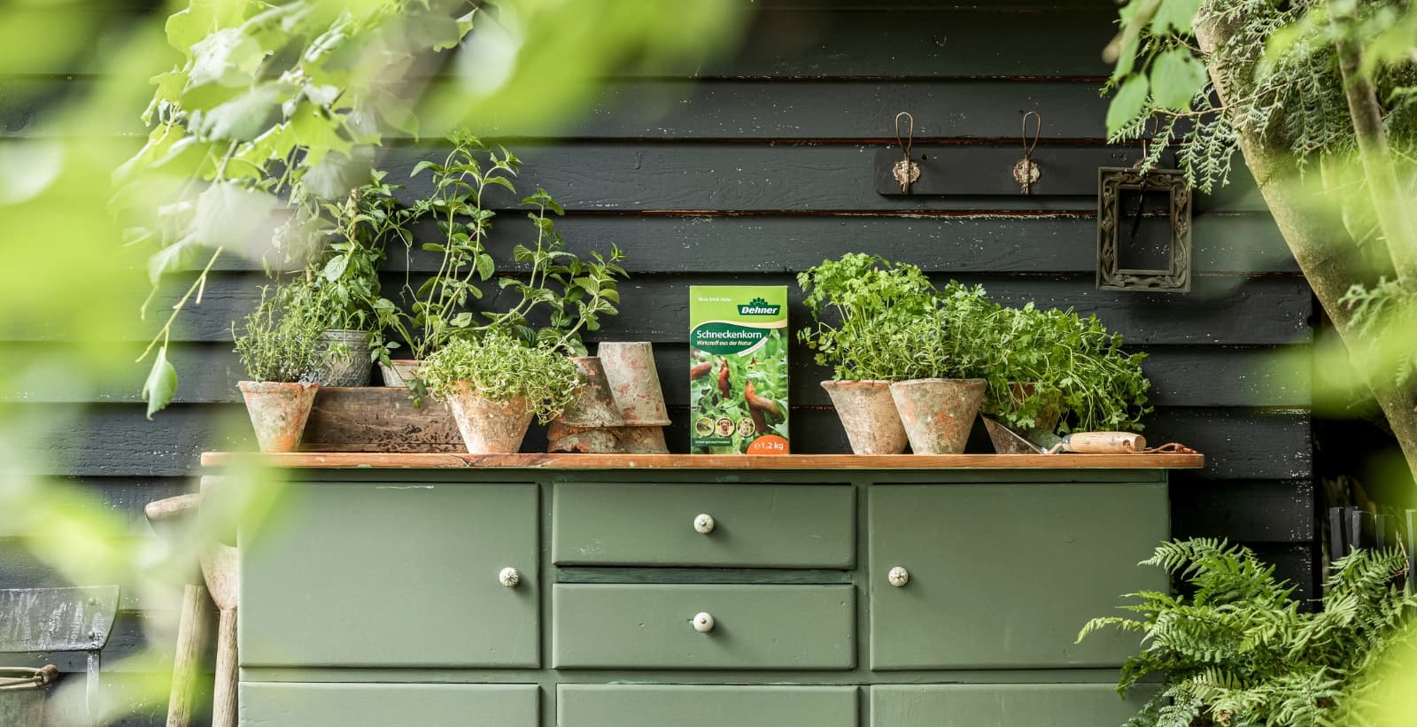 Ameisen, Schnecken & Co. vorbeugen