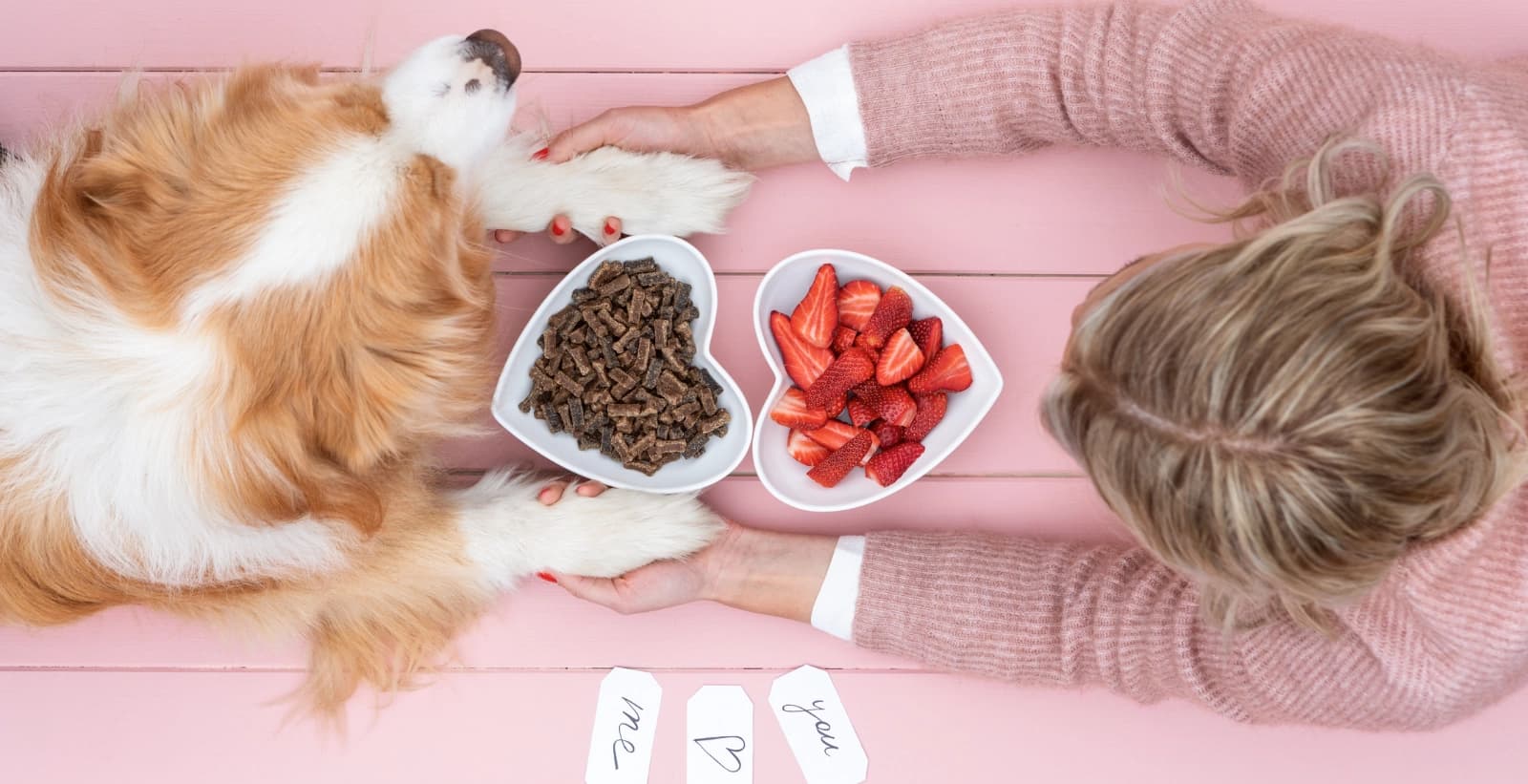 Die perfekte Belohnung für Ihren Liebling