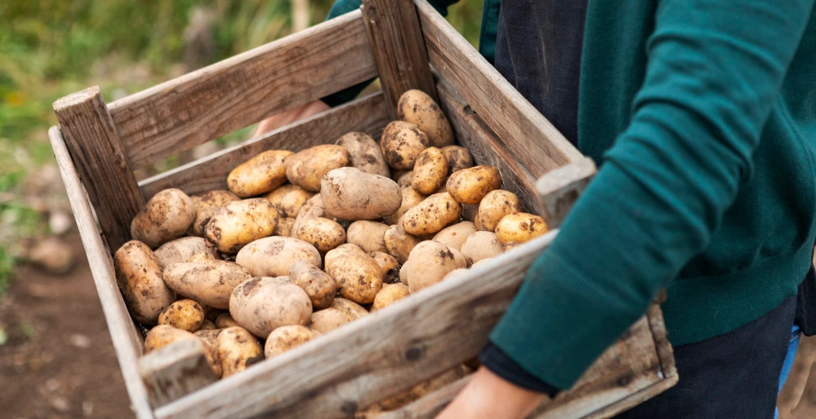 Die optimale Lagerung