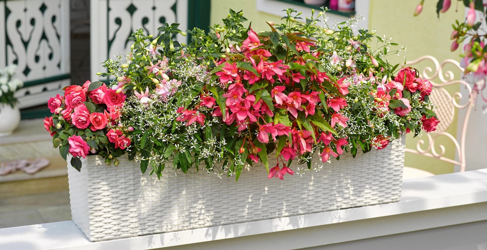Blühende Vielfalt im Schatten