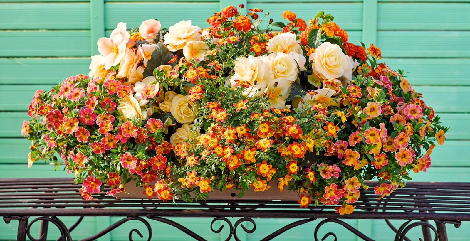 Bienenfreundliche Balkonblumen