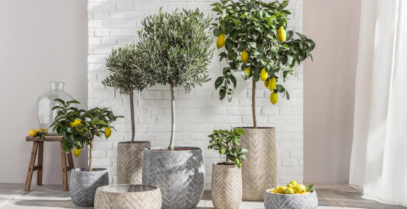 Mediterranes Flair für Ihren Balkon