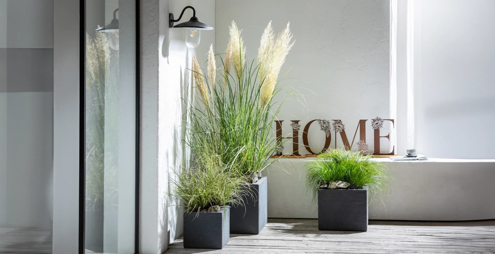 Pampasgras in Szene setzen: Kontrast & Harmonie im Beet