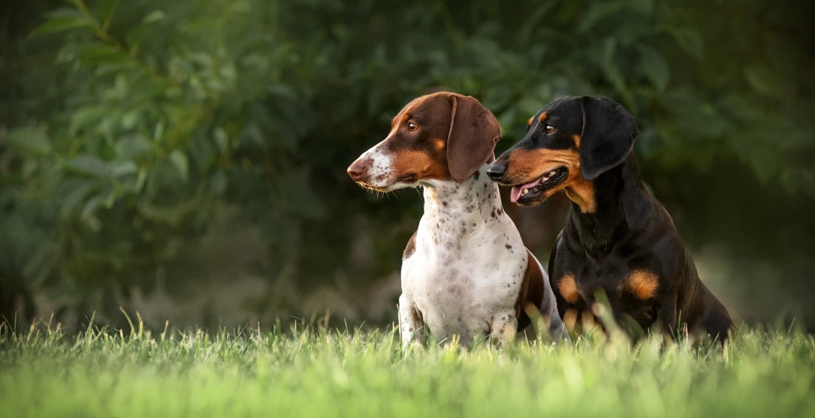 Selbstbewusst und eigensinnig