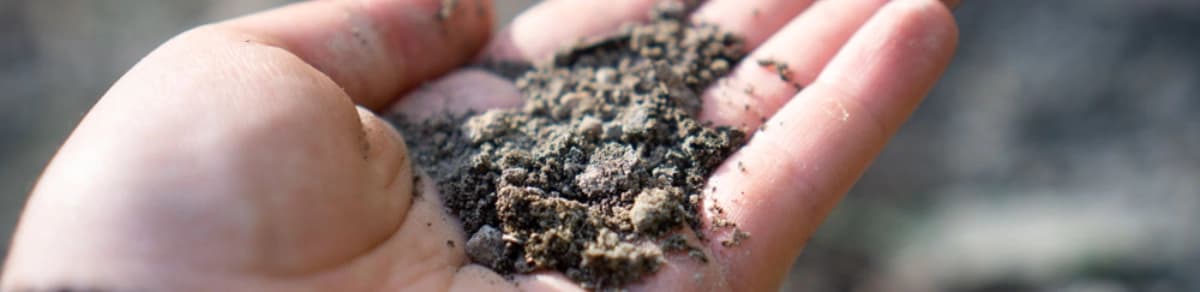 Bodenanalyse im Garten: Die praktische Hilfe zur Optimierung der Bodenstruktur