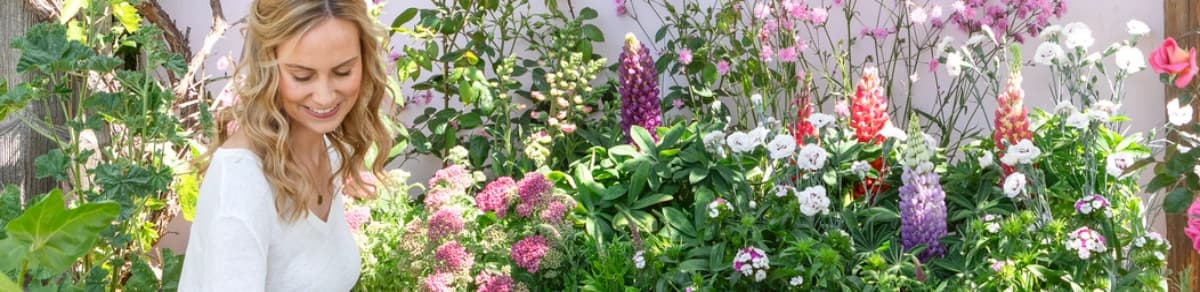 Lupinen: Pflegeleichte Blütenstauden für eine bunte Gartenpracht