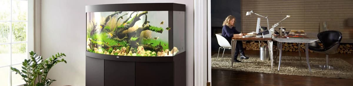 Juwel Aquarium