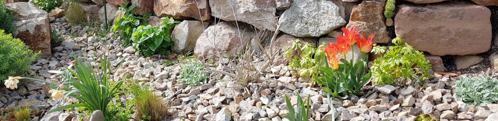 Steingarten – die etwas andere Gartengestaltung